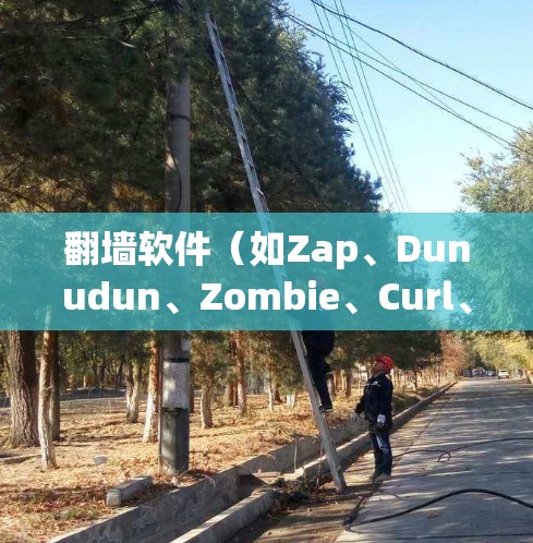 翻墙软件（如Zap、Dunudun、Zombie、Curl、Restop、Blink等）是一种用于阻止用户访问某些网站或应用的软件。以下是对翻墙软件线路体验的详细介绍