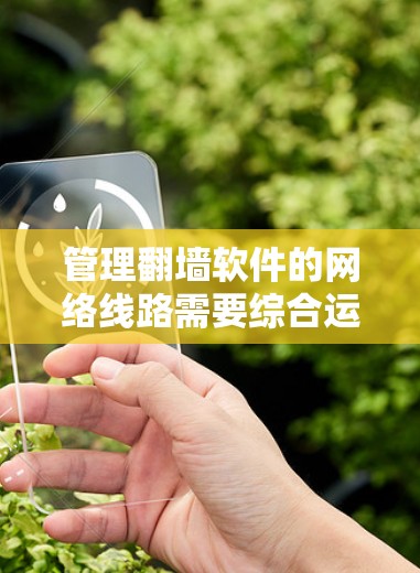 管理翻墙软件的网络线路需要综合运用多种技术知识和工具，以下是分步指南