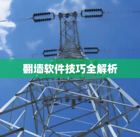 翻墙软件技巧全解析