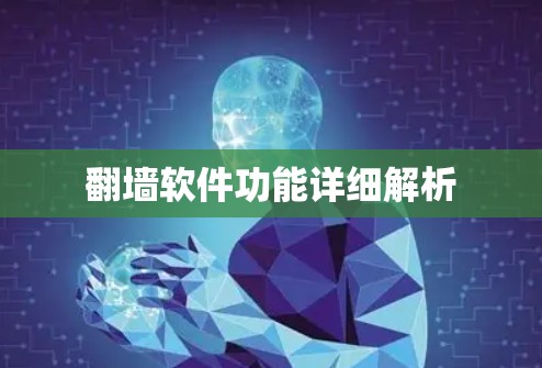翻墙软件功能详细解析
