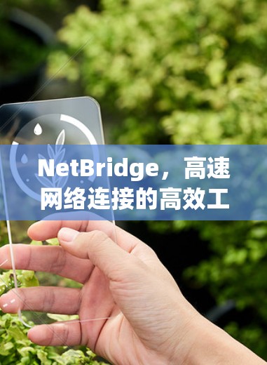 NetBridge，高速网络连接的高效工具
