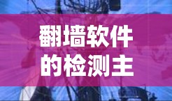 翻墙软件的检测主要关注其是否依赖于互联网，以确保其能够正常运行。以下是详细的步骤和建议
