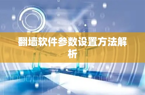 翻墙软件参数设置方法解析