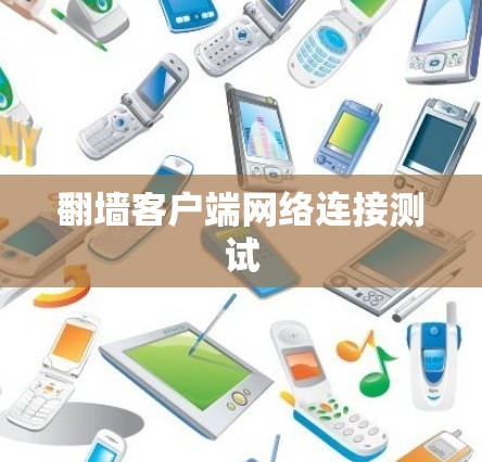 翻墙客户端网络连接测试