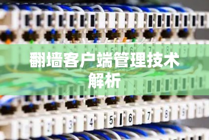 翻墙客户端管理技术解析