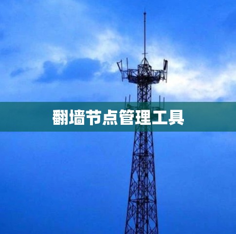 翻墙节点管理工具