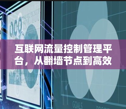 互联网流量控制管理平台，从翻墙节点到高效网络管理