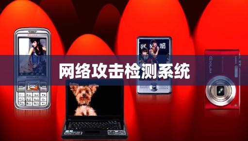 网络攻击检测系统