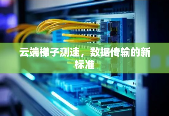 云端梯子测速，数据传输的新标准