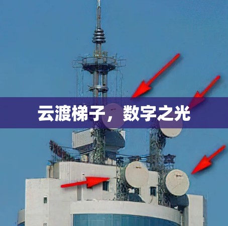 云渡梯子，数字之光