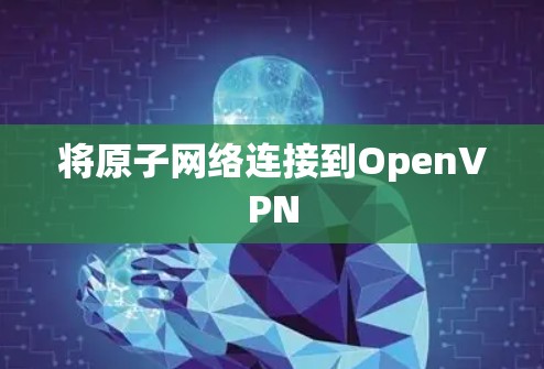 将原子网络连接到OpenVPN
