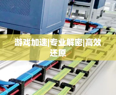 游戏加速|专业解密|高效还原