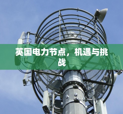 英国电力节点，机遇与挑战