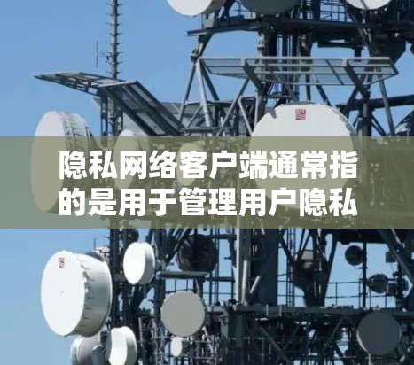 隐私网络客户端通常指的是用于管理用户隐私、保护数据安全的网络应用或工具。这些客户端通常与网络安全、数据保护相关，旨在为用户和组织提供一个安全的网络环境，以保护隐私信息