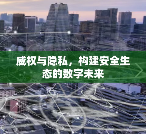 威权与隐私，构建安全生态的数字未来