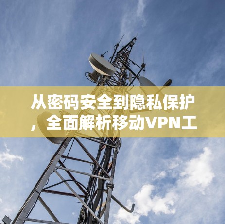 从密码安全到隐私保护，全面解析移动VPN工具