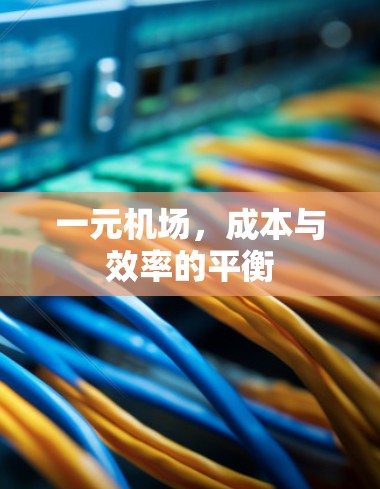 一元机场，成本与效率的平衡