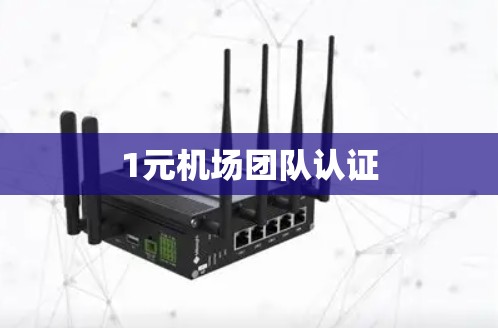 1元机场团队认证