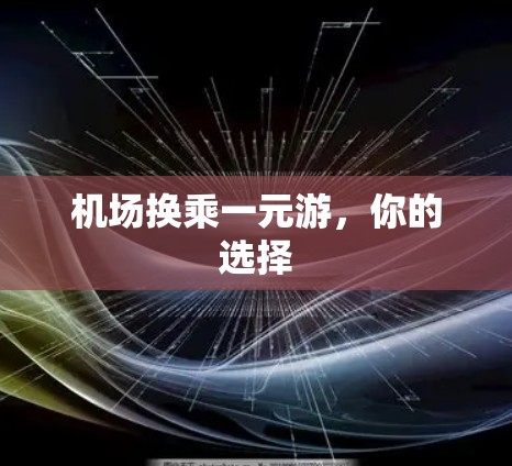 机场换乘一元游，你的选择