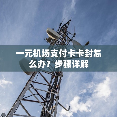 一元机场支付卡卡封怎么办？步骤详解