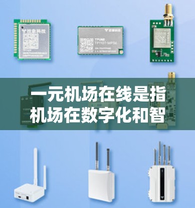 一元机场在线是指机场在数字化和智能化方面引入了电子化设施，以提升用户体验和效率。以下是该领域的一些关键点