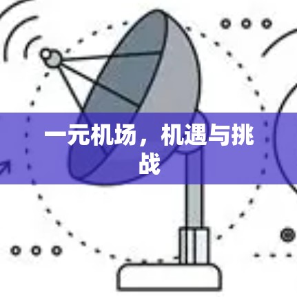 一元机场，机遇与挑战