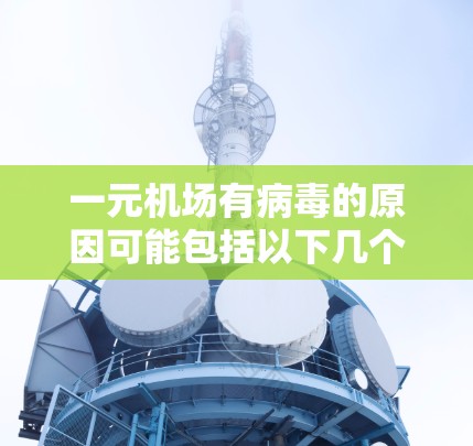 一元机场有病毒的原因可能包括以下几个方面