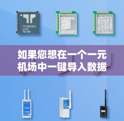 如果您想在一个一元机场中一键导入数据，您可以根据以下步骤操作