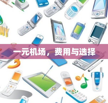 一元机场，费用与选择