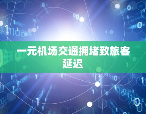 一元机场交通拥堵致旅客延迟