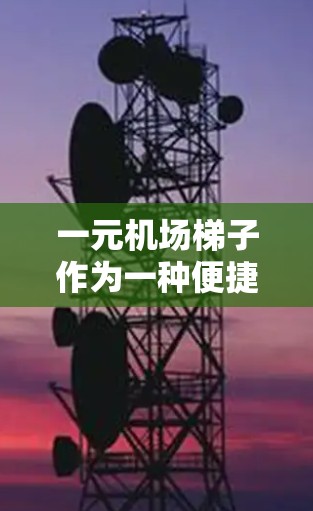 一元机场梯子作为一种便捷的解决方案，确实能有效减少排队时间，直接上机，提高机场效率。然而，其实际应用中仍需考虑以下几点问题