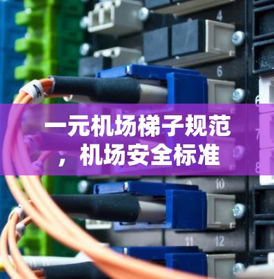 一元机场梯子规范，机场安全标准