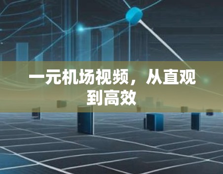 一元机场视频，从直观到高效