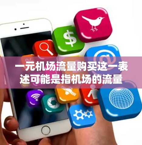 一元机场流量购买这一表述可能是指机场的流量管理系统，其中每个入口或通道的收费为一元。机场通常会设置多个入口和窗口，每个入口可能有不同的收费政策。以下是一些可能的解释和信息