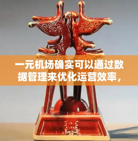 一元机场确实可以通过数据管理来优化运营效率，但需要综合考虑多个方面