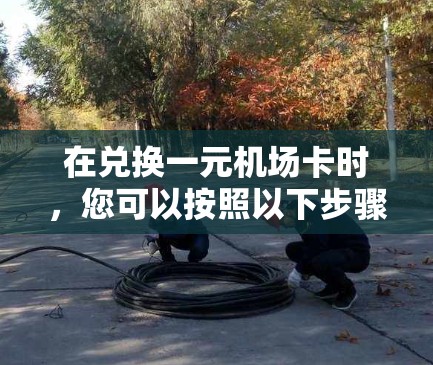 在兑换一元机场卡时，您可以按照以下步骤进行操作