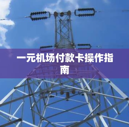一元机场付款卡操作指南