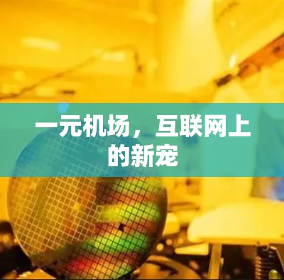 一元机场，互联网上的新宠