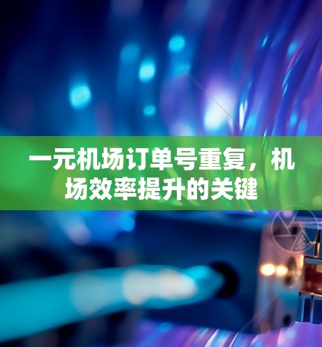 一元机场订单号重复，机场效率提升的关键