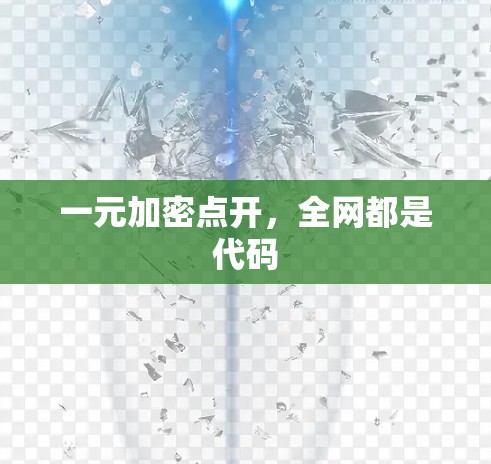 一元加密点开，全网都是代码