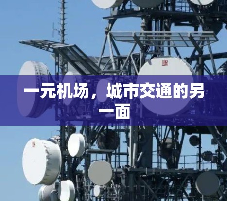一元机场，城市交通的另一面