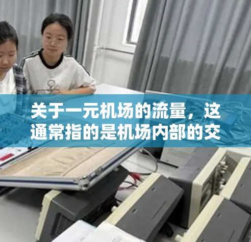 关于一元机场的流量，这通常指的是机场内部的交通流量管理问题，尤其是在机场内部的载客量、乘客使用电子收费设备的情况等。以下是一些可能相关的内容和分析