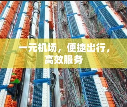 一元机场，便捷出行，高效服务