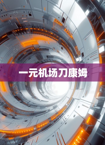 一元机场刀康姆