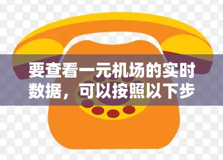 要查看一元机场的实时数据，可以按照以下步骤进行