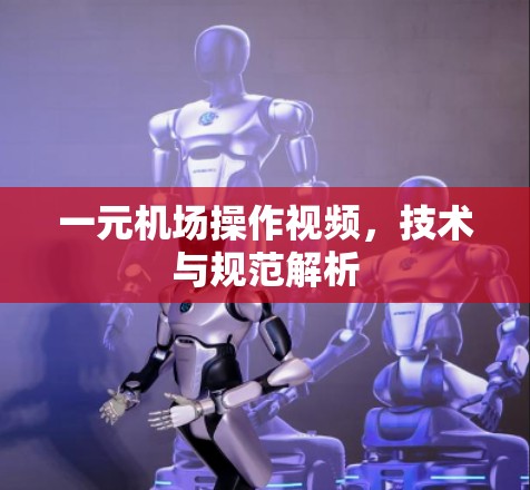 一元机场操作视频，技术与规范解析