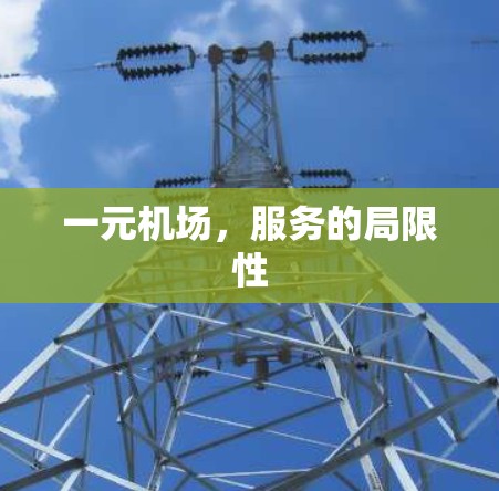 一元机场，服务的局限性