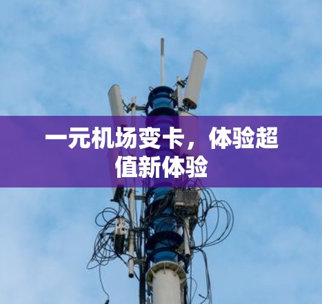 一元机场变卡，体验超值新体验