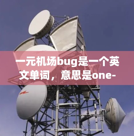 一元机场bug是一个英文单词，意思是one-way airport bug，通常指某个特定机场或机场系统中的bug（bug）