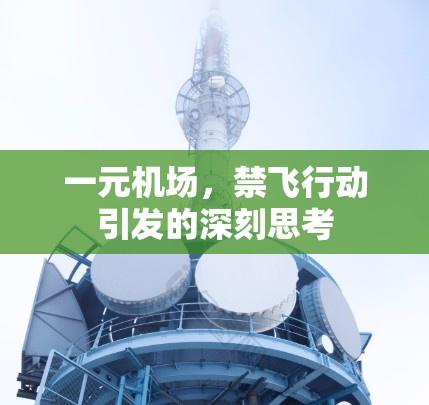 一元机场，禁飞行动引发的深刻思考